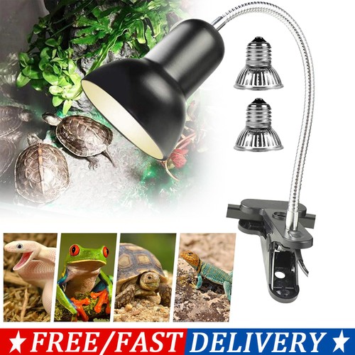 Terrarium aquarium heizlicht - terrarium,