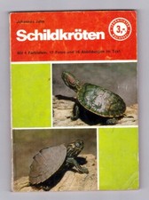 Schildkröten- Lehrmeister