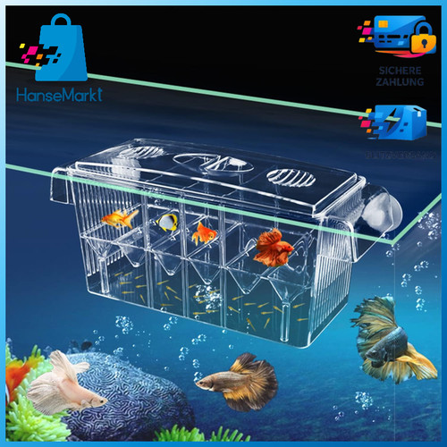 Ablaichkasten aquarium acryl - ablaichkasten,