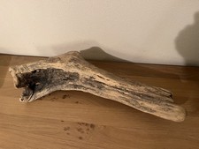 Original Schwemmholz Treibholz Driftwood Bastelholz Terrarium Deko ca. 50 cm TOP
