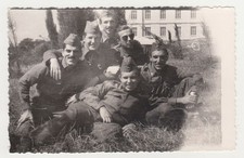 LOT of Affectionate Handsome