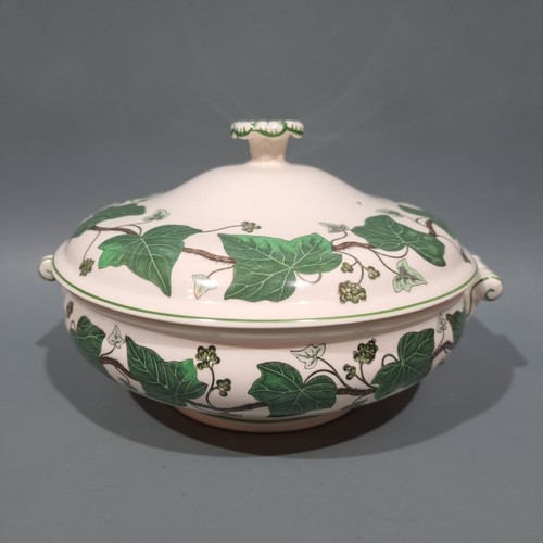 Wedgwood napoleon ivy - wedgwood,