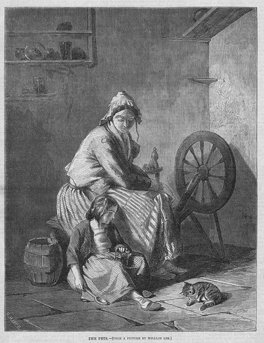 The pets von william - von,