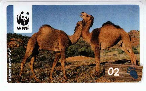 Rewe wwf tier abenteuer - rewe,