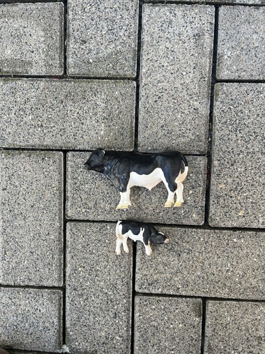 Schleich kuh und - kuh, kalb