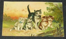 Postkarte AK Künstlerkarte ungelaufen - 5 Katzen - ca. 1910-1920