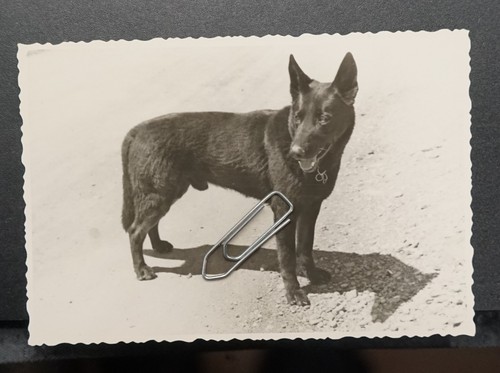 Foto tirol 1958 going - tirol,