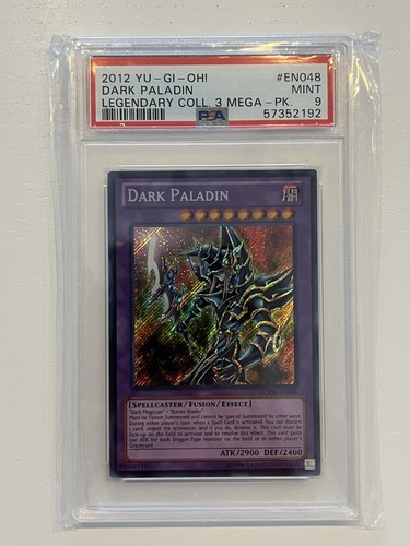 Dark paladin - dark,
