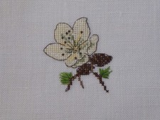 Stickbild acufactum Claras Geschichten Christrose Christrosenblüte Weihnachten 1