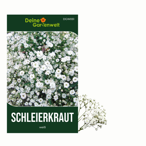 Stauden schleierkraut weiß - stauden-schleierkraut,