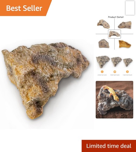 Reptilienhöhle versteck - reptilienhöhle,