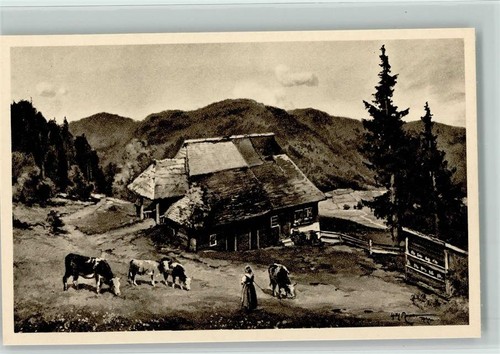 12079767 schwarzwaldidylle - -,