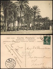 Postcard Algier دزاير Jardin d'Essai, l'Oasis. 1913  Algeria