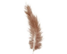 Marabufedern natur ca. 15 Stück