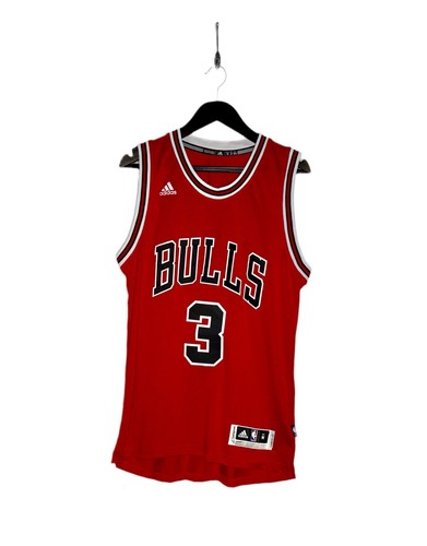 Chicago bulls doug - chicago,