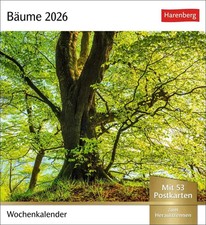 Bäume Postkartenkalender 2026