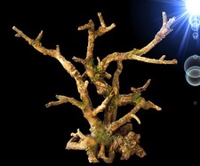 Aquarium Deko 🐠 KAHLER AST 🐠 Mangroven Wurzel Terrarium Zubehör Dekoration