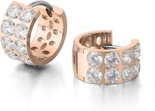 Titan Creolen Ohrringe G23