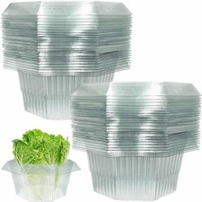 SALE Premium Schneckenringe -