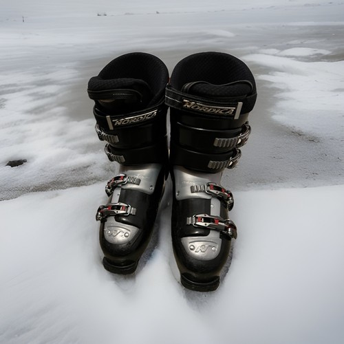 Nordica ski schuh - schuh, skistiefel