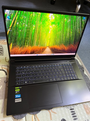 Gaming laptop i9 - i9, 13900h