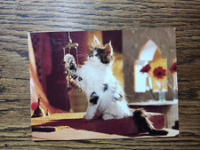 Für Liebhaber und Sammler