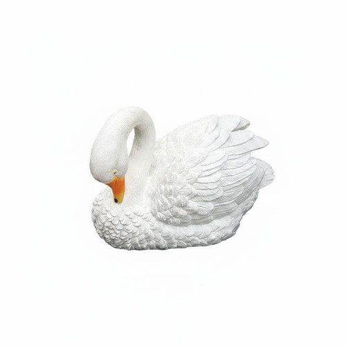 Schwimmender wasservogel - schwimmender,