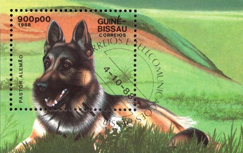 Guinea bissau block 273 - guinea-bissau,