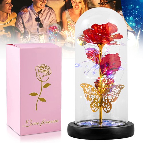 Neu rose glas ewige - neu,