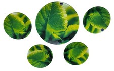 TRAUMHAFTES 5-tlg. Set LEONARDO Glas-Teller Brilliantes Motiv Blätter 32+20cm