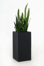 Blumenkübel Pflanzkübel