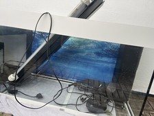 aquarium komplett 