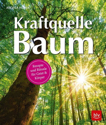 Kraftquelle baum rezepte - baum,