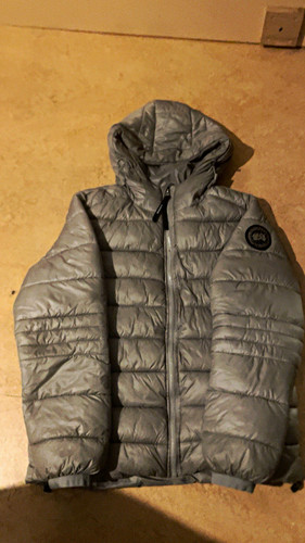 Canada goose arctic program - goose,
