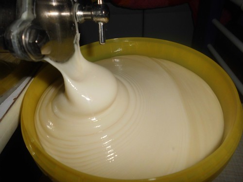 Honig löwenzahn mit - honig,,