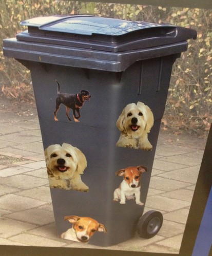 Hunde mülleimer - hunde,