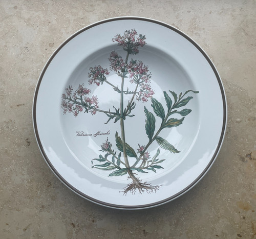 Villeroy boch botanica - villeroy,