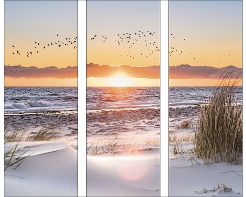 Glasbild beach sunset - glasbild, i