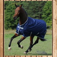 BUCAS Freedom Turnout light