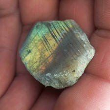 Klein aber Fein Poliert