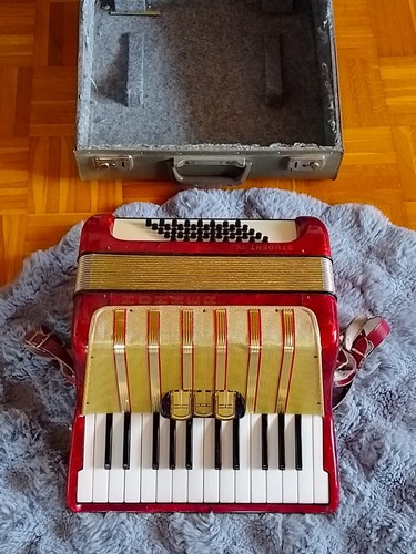 Hohner student akkordeon - student,