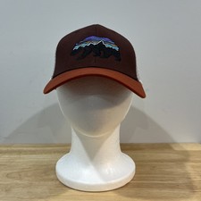 Patagonia Fitz Roy Bear Hat