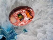 Sehr selten: Großer