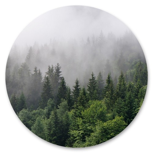 Sticker kreis bäume nebel - kreis,