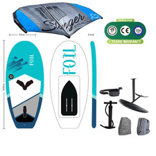 Stinger Wing Foil Set 5.1 NEU