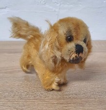 Steiff hund peky top - peky, 12