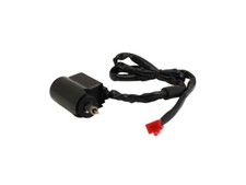 E-Choke Kaltstartautomatik