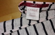 Lanius sommerlicher