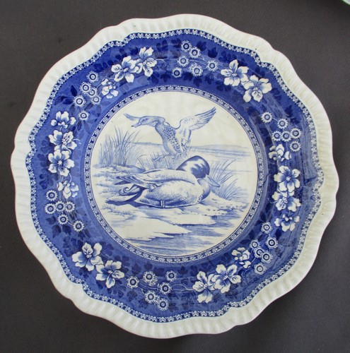Copeland spode speise teller - speise,