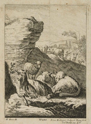Ridinger nach roos - (*1698),